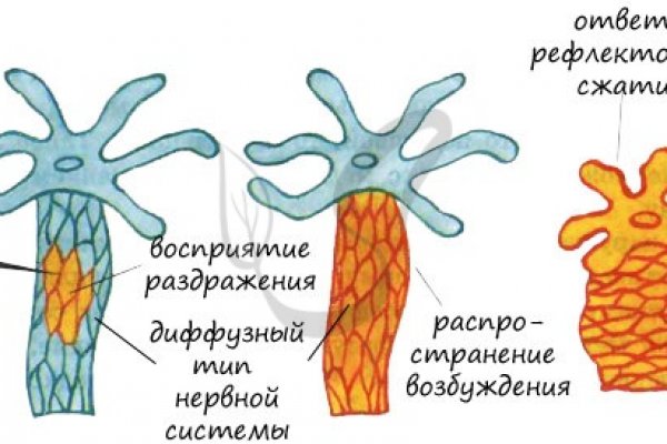 Ссылка омг в тор